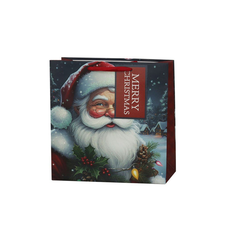 large Father Christmas gift bag 25 x 25 x 10cm