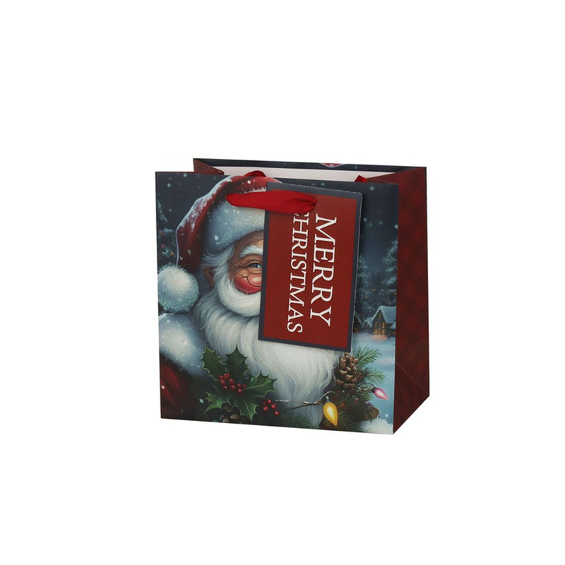 medium Father Christmas gift bag