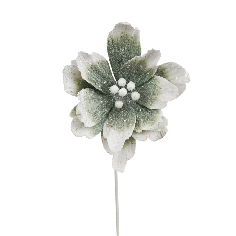 ombre sage poinsettia with 50cm Christmas stem