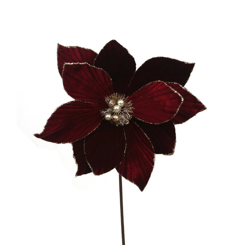 burgundy poinsettia with glitter and 50cm stem