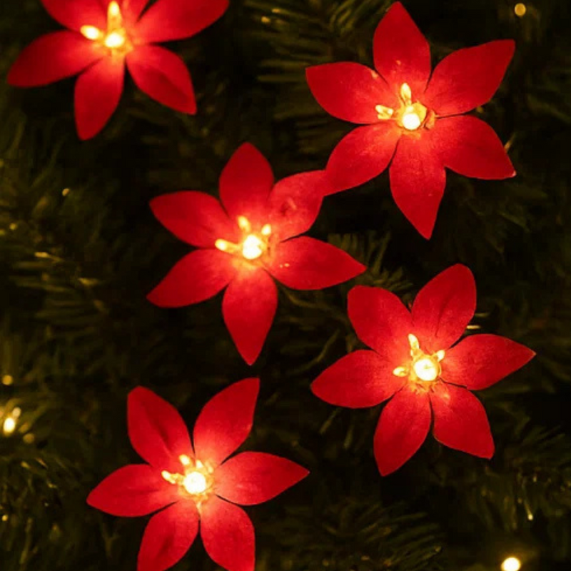 Christmas LED Poinsettia Lights P46 40w