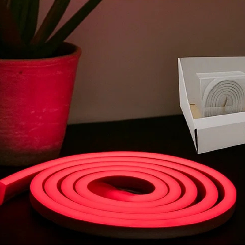 NEON LED FLEX STRIP LIGHT 100c