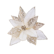 Pale Pearl Poinsettia Stem Assorted 2