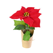 Mini Flocked Poinsettia Pot 21cm Assorted 3