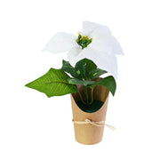 Mini Flocked Poinsettia Pot 21cm Assorted 4