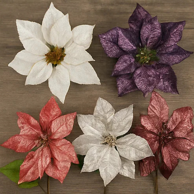 Poinsettia Long Stem Iridescent