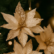 Poinsettia Mix 30cm Champagne – thumbnail