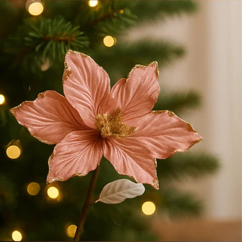 Magnolia Pick Velvet Blush 24cm