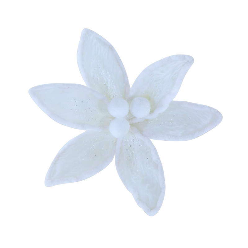 White Furry Poinsettia