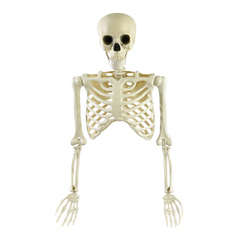 85cm half skeleton Halloween decoration with moveable parts