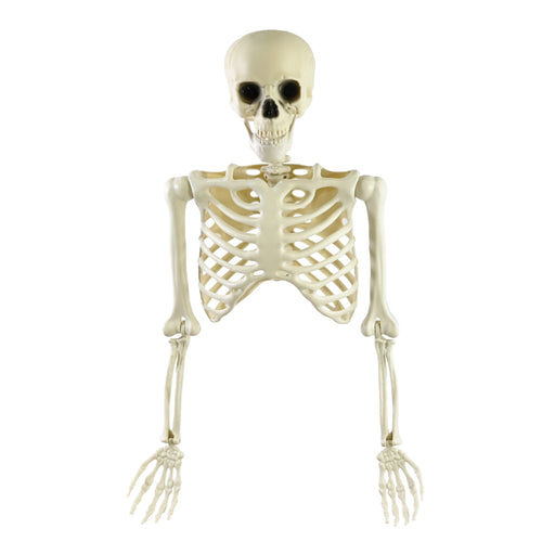 85cm half skeleton Halloween decoration with moveable parts