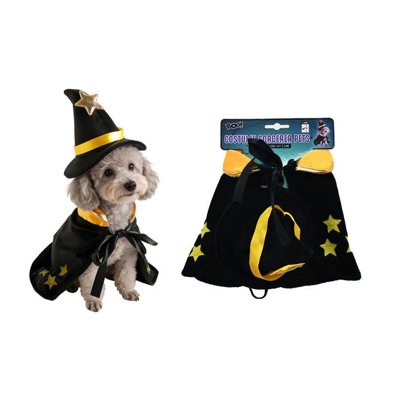 Pet sorcerer Halloween costume with hat and cape