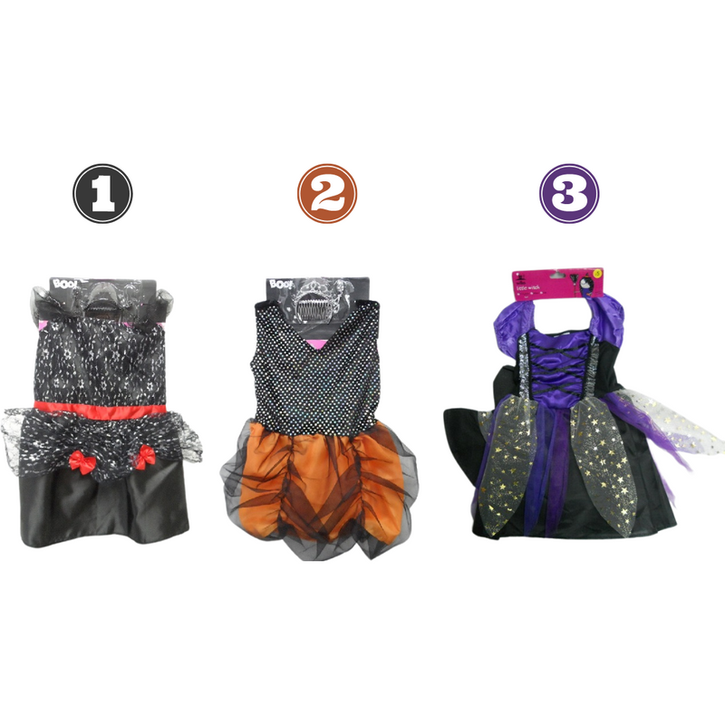 Halloween Witch Girls