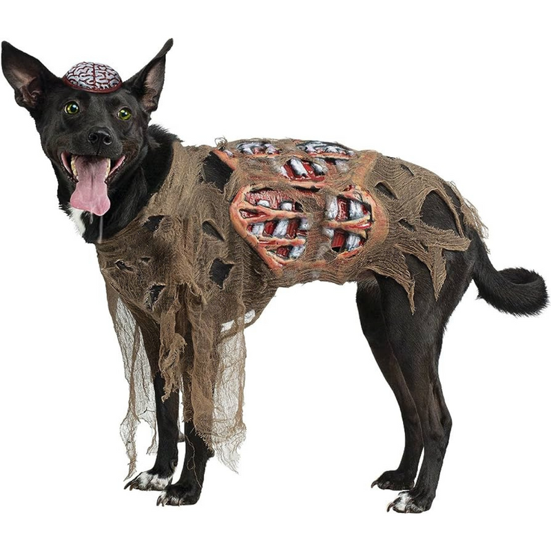 Zombie Pet Costume Halloween outfit for dogs and cats