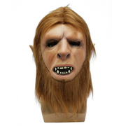 Animal Heads Latex Masks Assorted