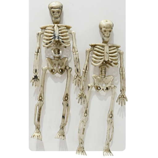 Skeleton 14.7cm 2pk