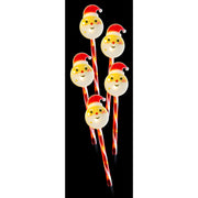 Solar Santa Head Path Lights 5pk Assorted 3