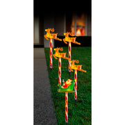Solar Santa Sleigh Path Set Flashing 5pk 4