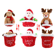 Hide N Seek Character In Santa Sack Assorted