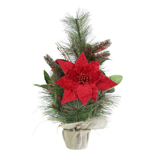 Potted Pine Poinsettia Tree 50cm