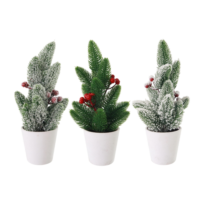 Assorted 26cm pine berry Christmas tree in white pot