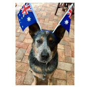aussie twin flags headband image 3