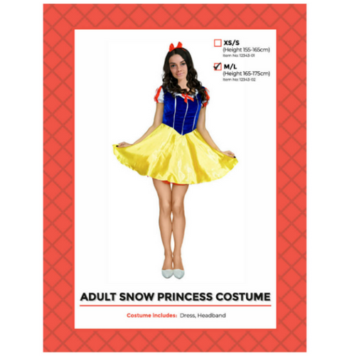 Adult Snow Princess Costume (M/L)