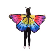 Person wearing a colorful butterfly costume – thumbnail