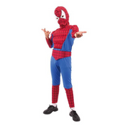 Costume Boy Spider XLarge 9-10 yrs old