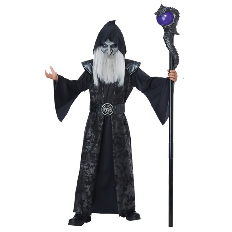 Costume Wizard Mens