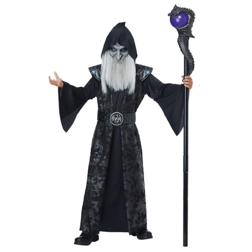 Costume Wizard Mens