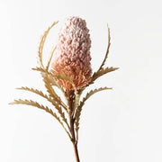 Banksia Acorn Light Pink 72cml – thumbnail