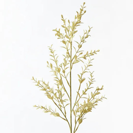 Ruscus Spray Light Green 73cml