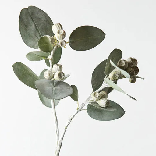 Eucalyptus Tetragona Spray Grey Green 61cml