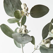 Eucalyptus Tetragona Spray Grey Green 61cml
