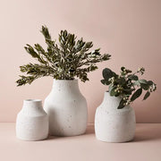 Eucalyptus Tetragona Spray Grey Green 61cml