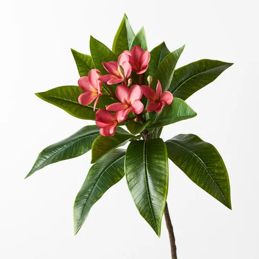 Frangipani Spray Fuschia 86cml