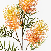 Grevillea Spray Orange Yellow 84cml