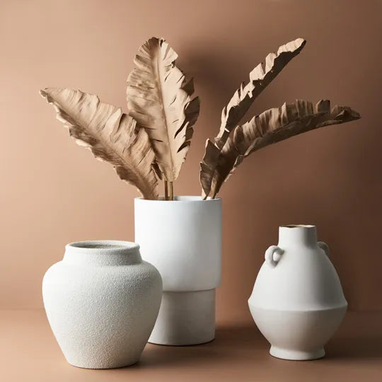 Palm Leaf Cream Brown 89cml