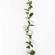 Stephanotis Garland Green White 170cml – thumbnail