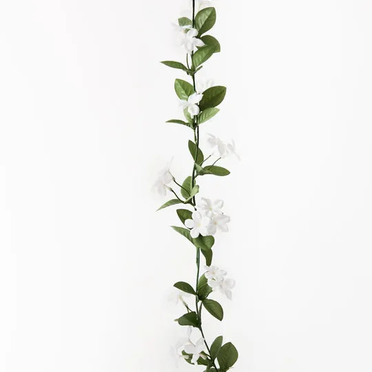 Stephanotis Garland Green White 170cml