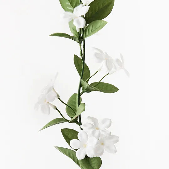Stephanotis Garland Green White 170cml