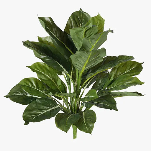 Evergreen Bush Green 47cml