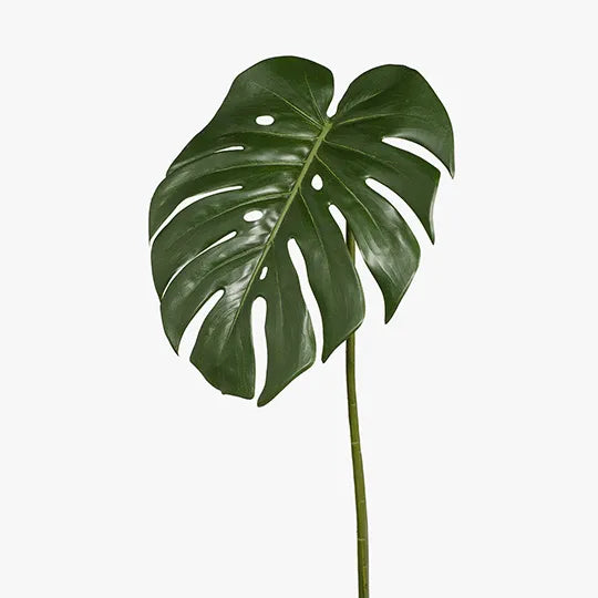 Monstera Leaf Green 80cml