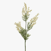 Wattle Cream Green 84cml – thumbnail