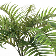 Palm Areca Bush Green 70cml