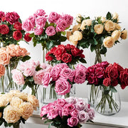 Rose Bella Red 37cml