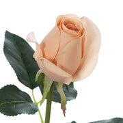 Rosebud Bella Blush 37cml