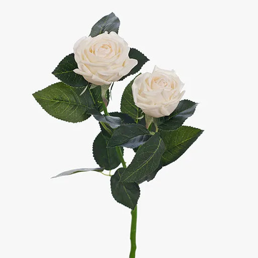 Rose Ariel Spray Ivory 38cml