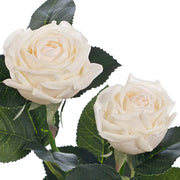 Rose Ariel Spray Ivory 38cml – thumbnail